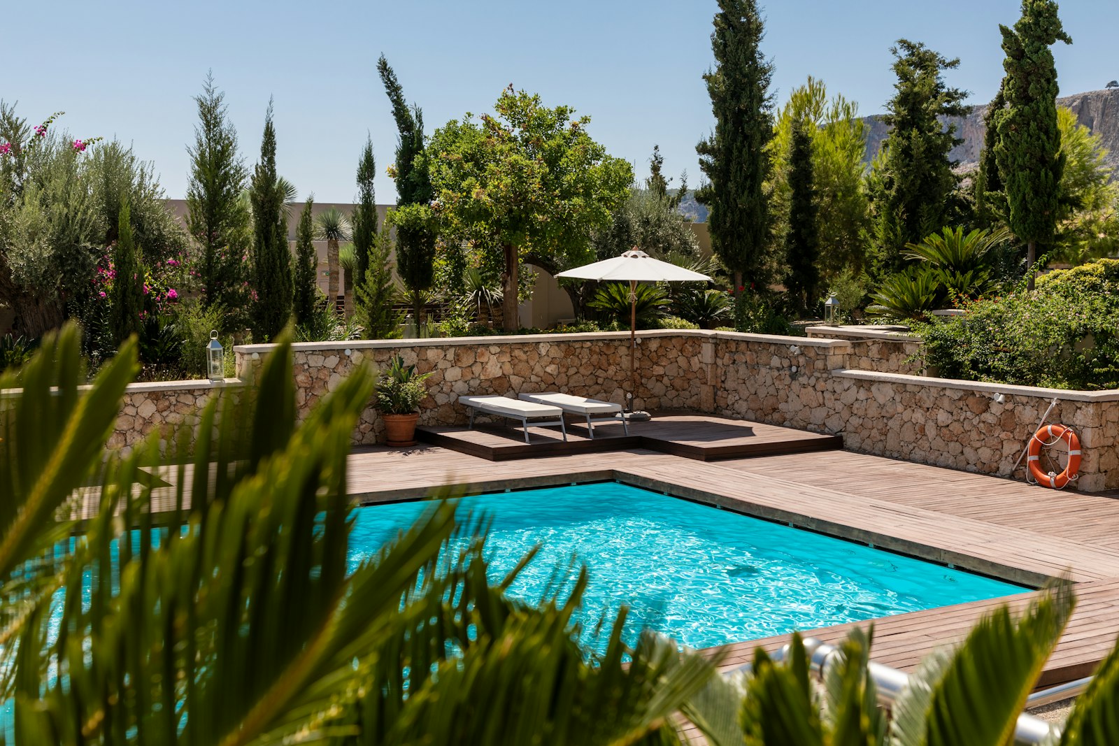 Modern Resort-Style Pool & Spa